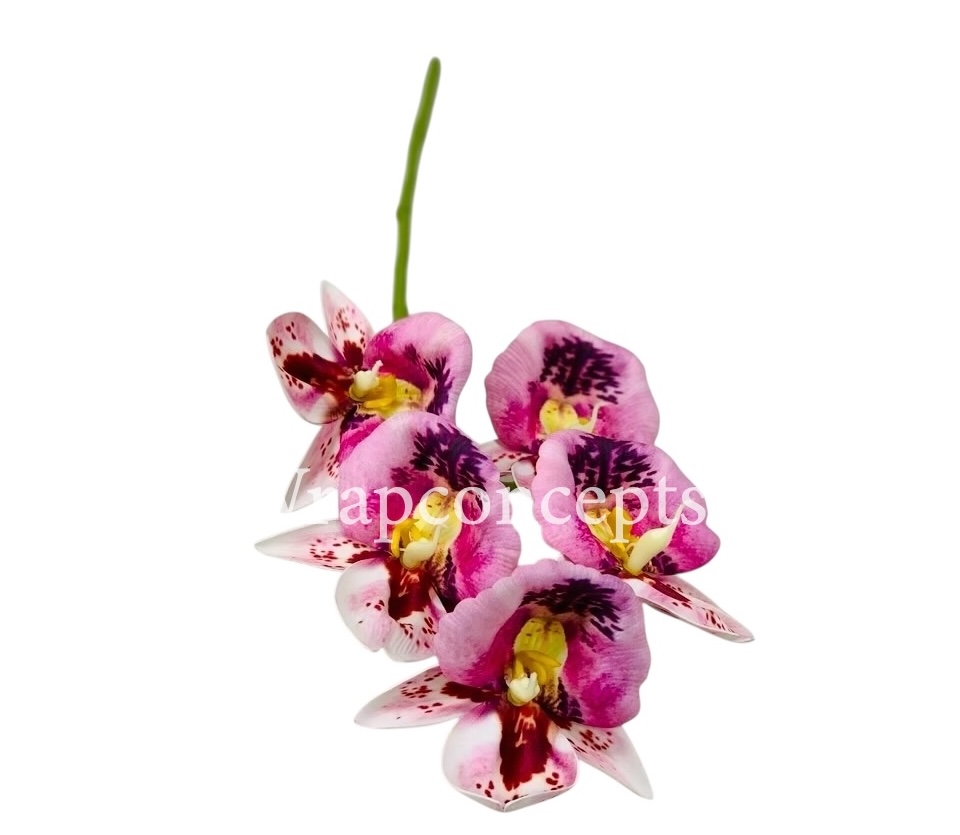 Orchid Sticks - Multicolor