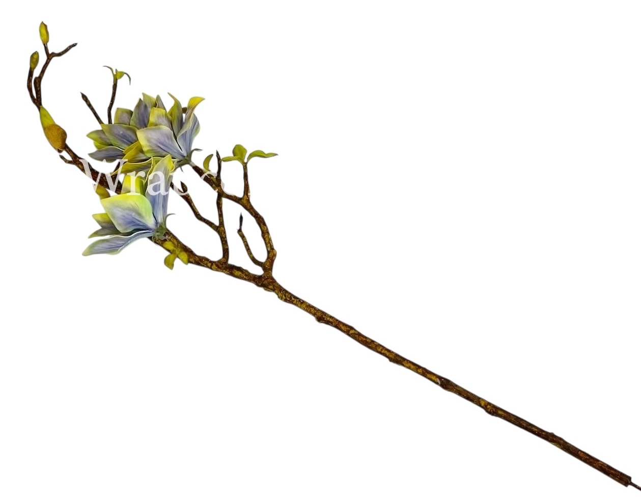 Copy of Orchid Sticks - Multicolor