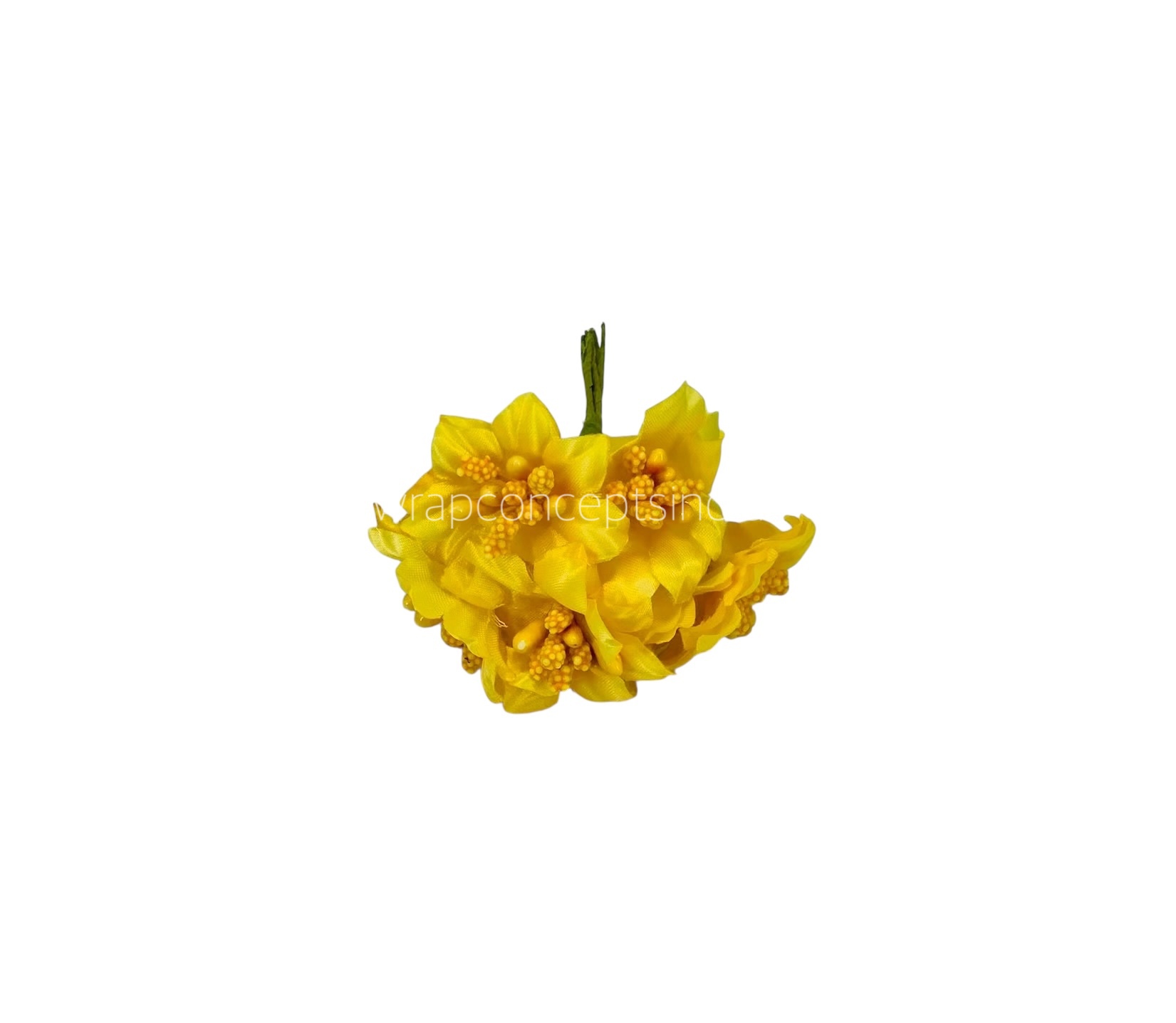 Yellow Flower with Yellow Pollen