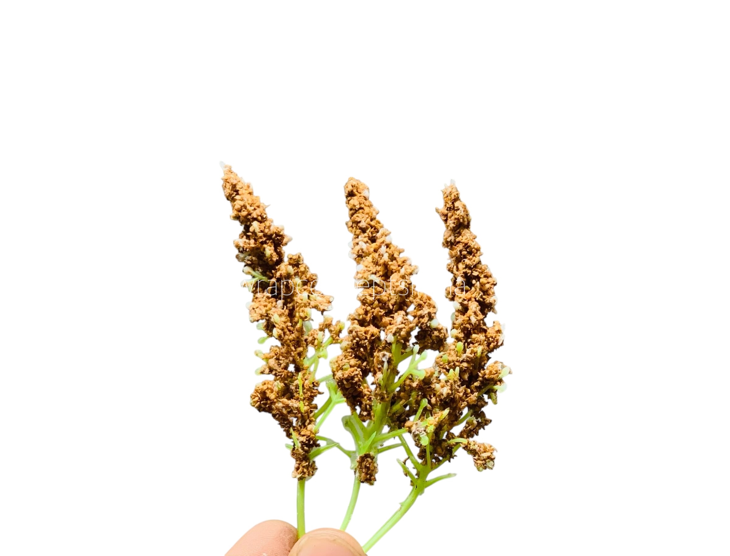 Trio Frosted Fern Leaves - Coffee