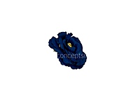 Navy Blue Open Rose