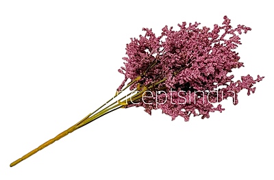 Frosted Plum Blossom Spray