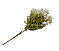 Frosted Wildflower Bush-Wine