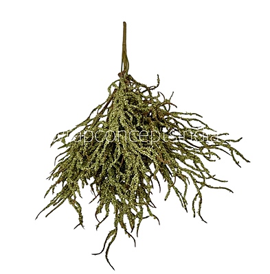 Frosted Willow Spray