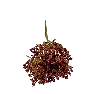 Frosted Heather Bush Frosted Heather Bush