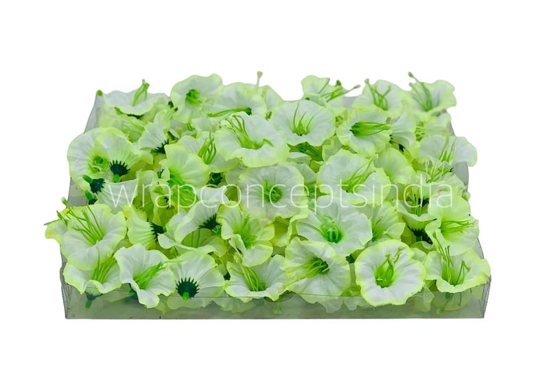 White & Lime Shaded Lily