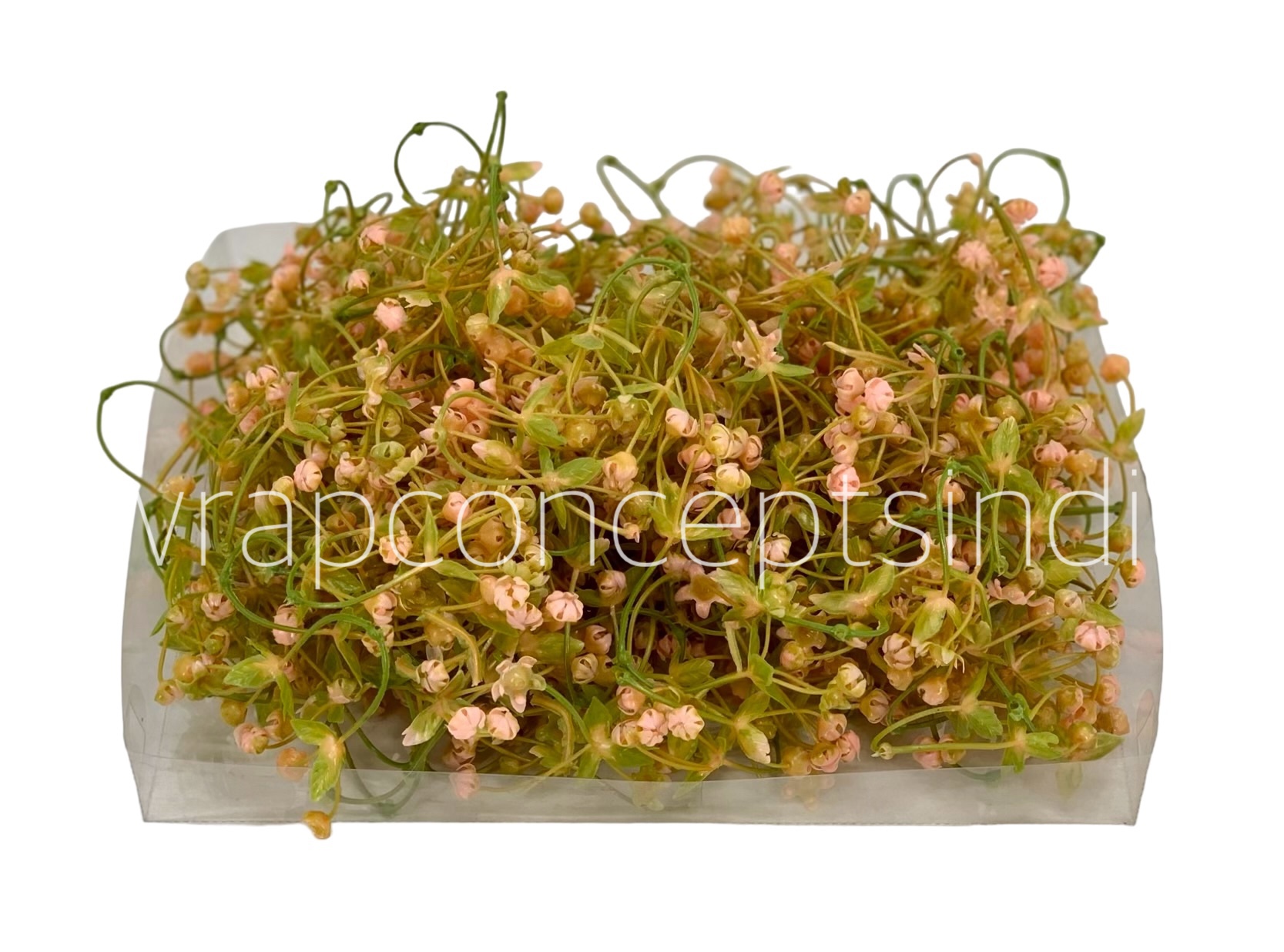 Salmon Baby Breath Florets