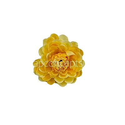 Banana Small Dahlias