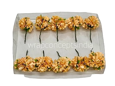 Pumpkin Aubrieta Flower