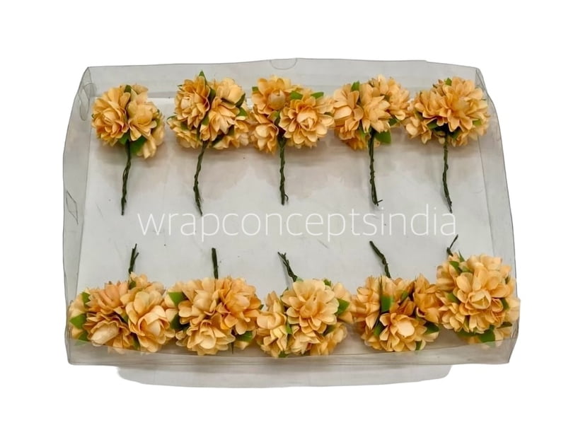 Pumpkin Aubrieta Flower