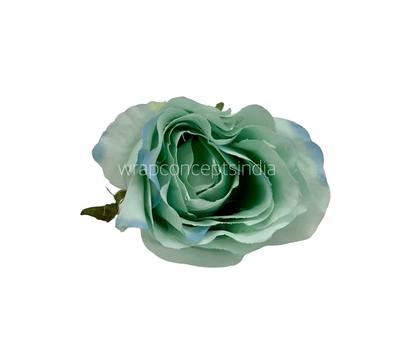 Seafoam Rose Flower