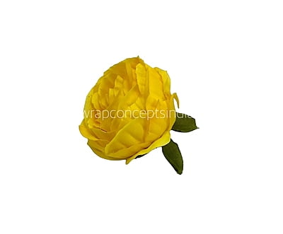 Canary Rose Flower