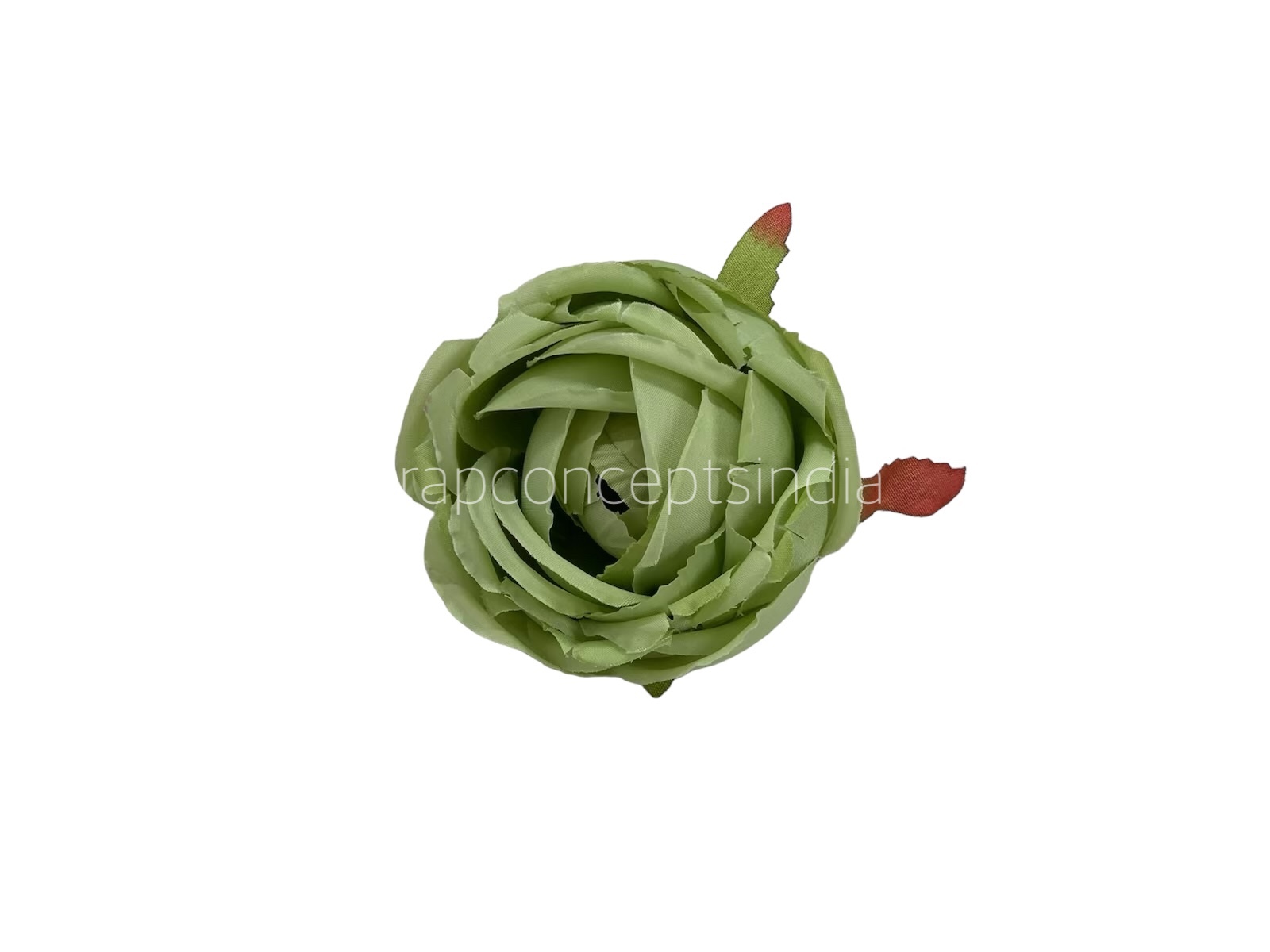 Fern Green
