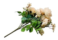 Big Peony Tall Bunch