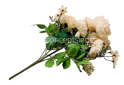 Big Peony Tall Bunch