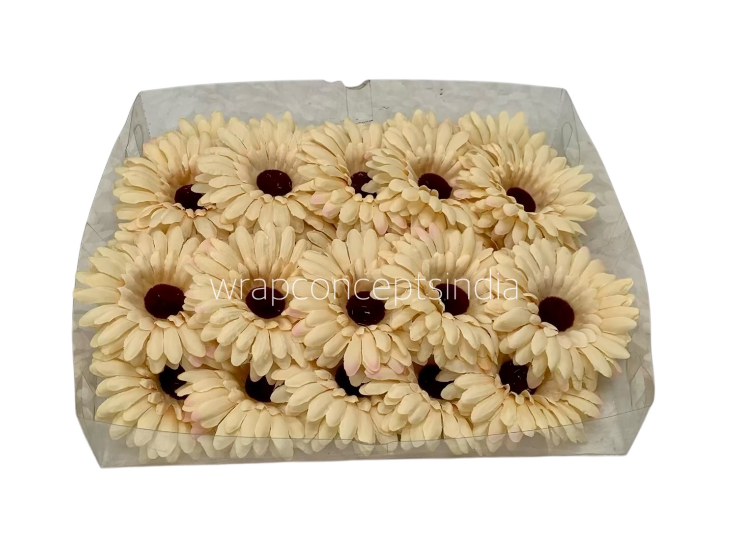 Creamish Yellow Sunflower