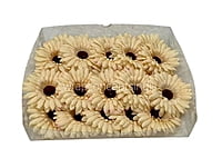 Creamish Yellow Sunflower