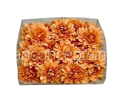 Pumpkin Dahlia Flower