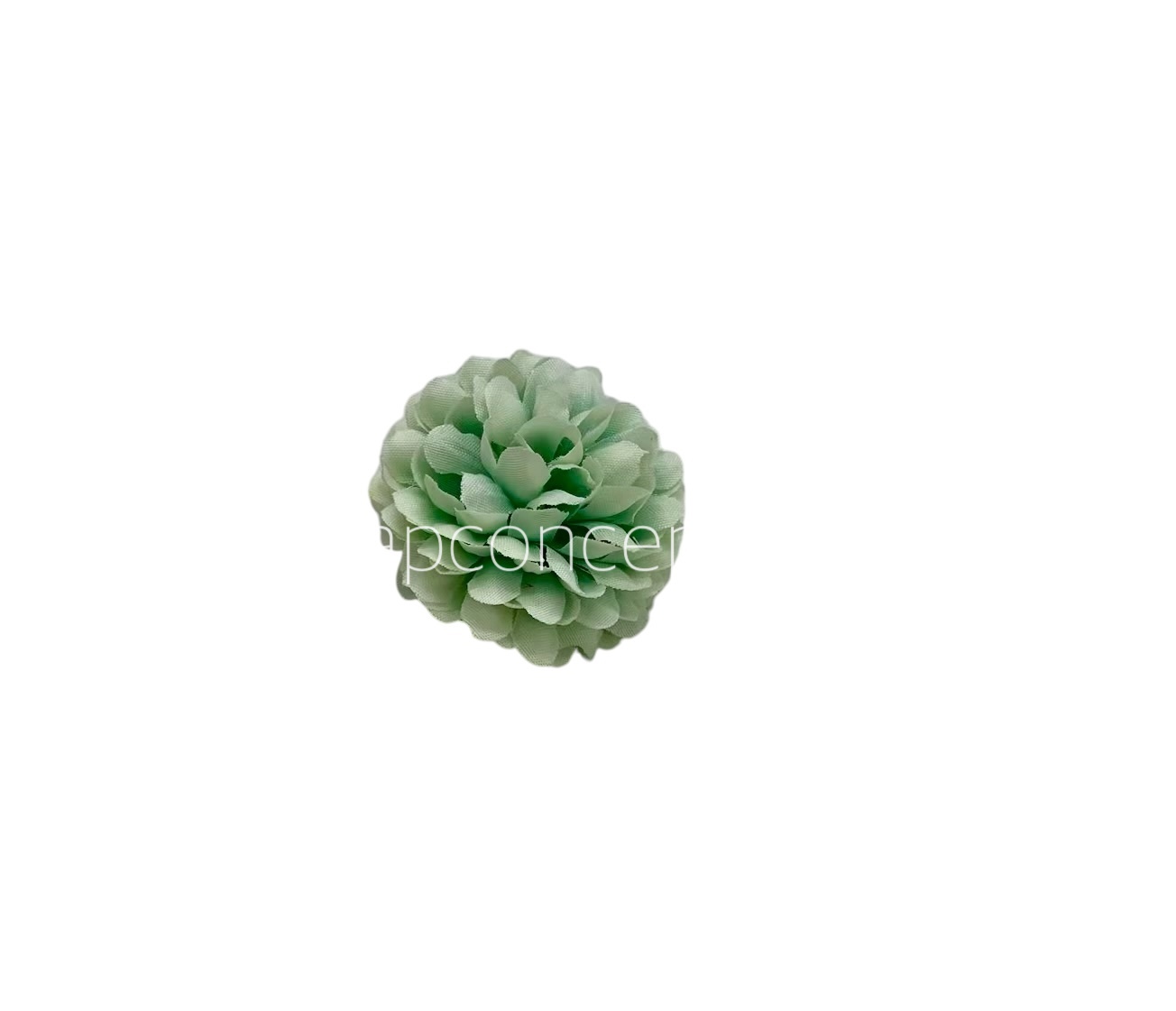 Small Carnation - Pistachio