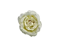 Ivory Small Ornate Peonies