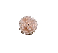 Small Carnation - Soft Peach