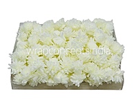 Cream Foam Carnation