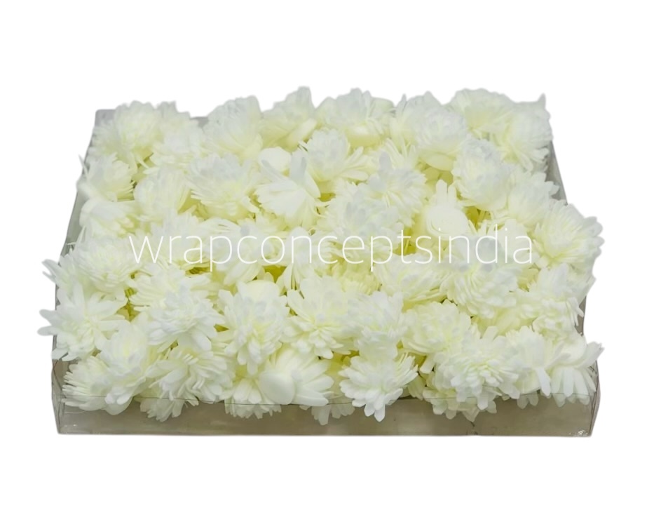 Cream Foam Carnation Cream Foam Carnation