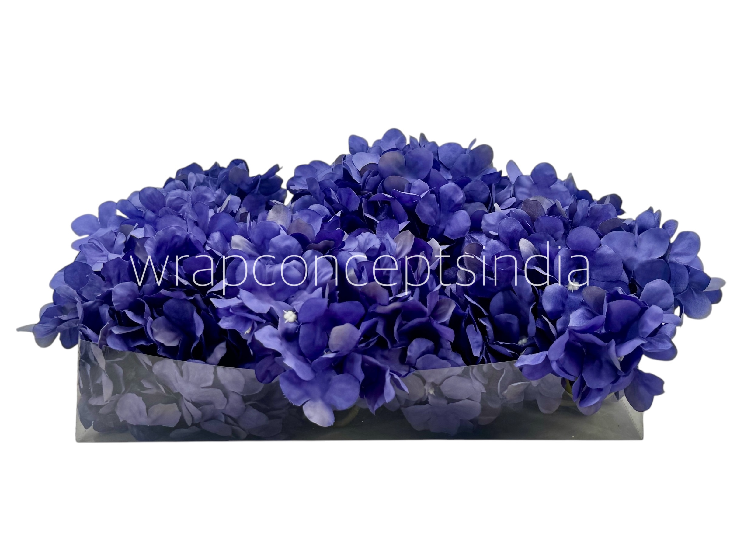 Royal Purple Hydrangeas