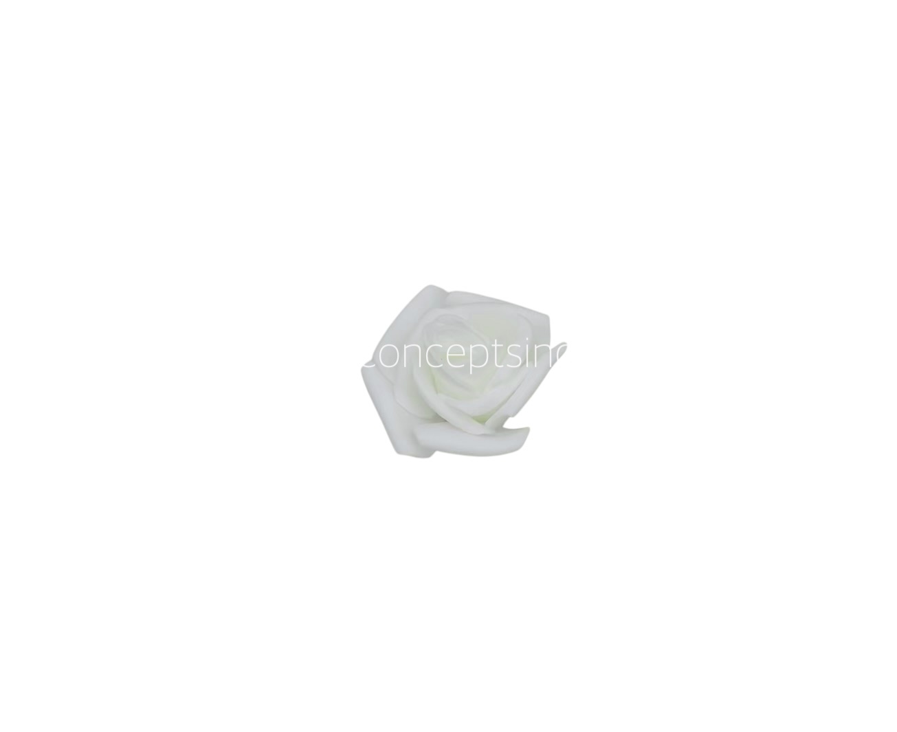 White Medium Foam Rose