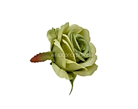 Rose Small – Sage Green