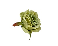 Rose Small – Sage Green