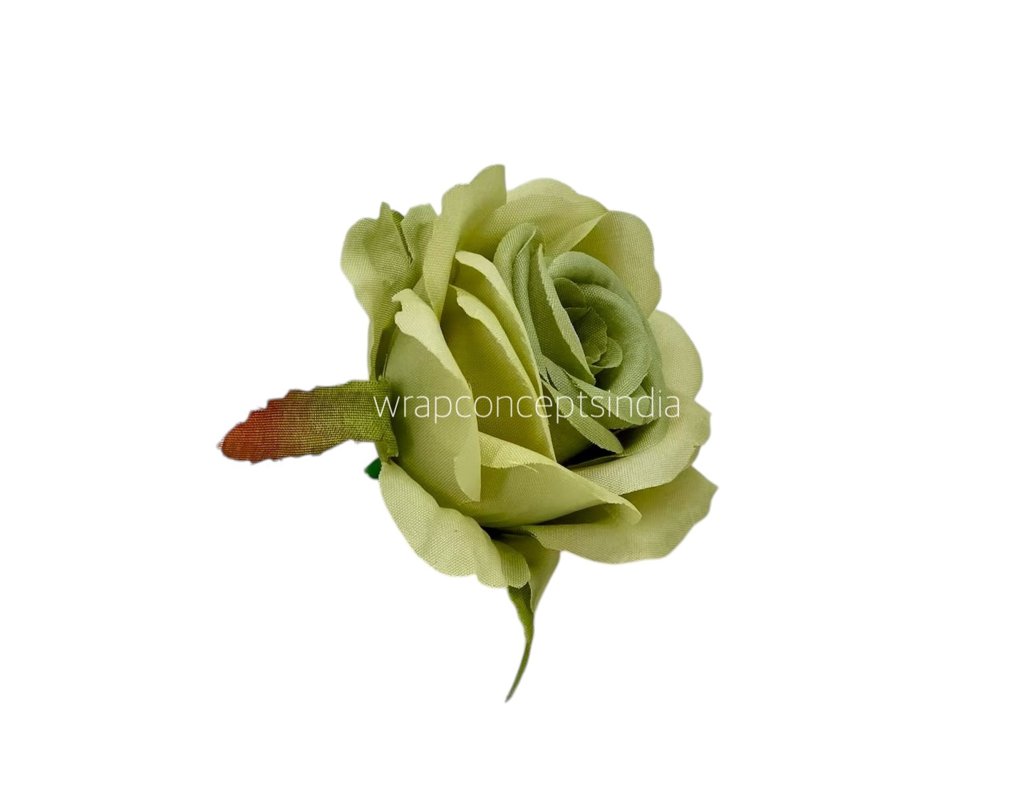 Rose Small – Sage Green