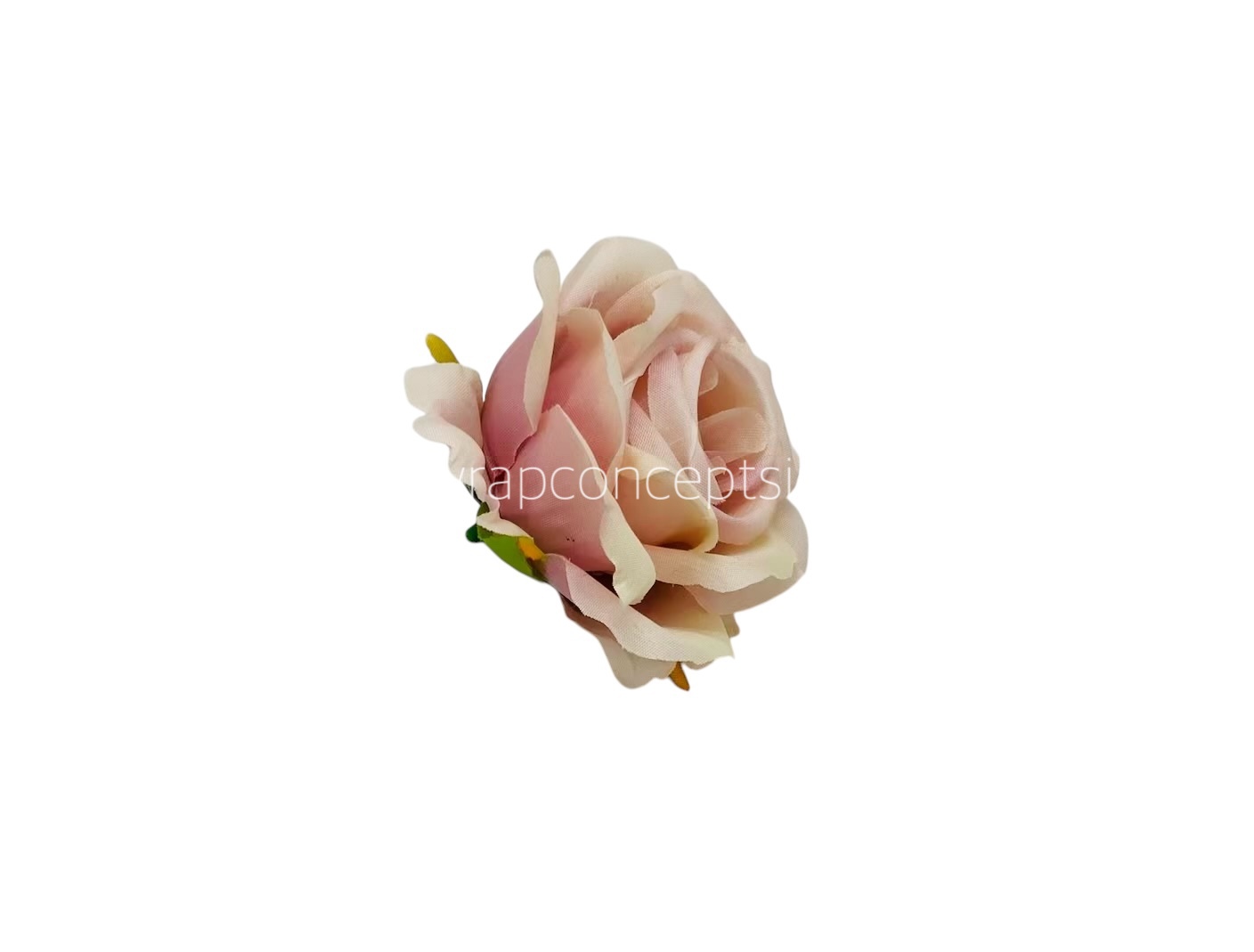 Rose - Nude with Blush