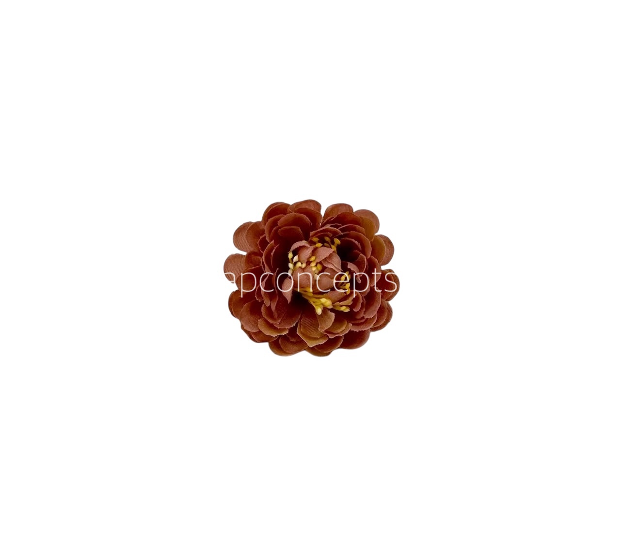 Cherry Wood Small Dahlia
