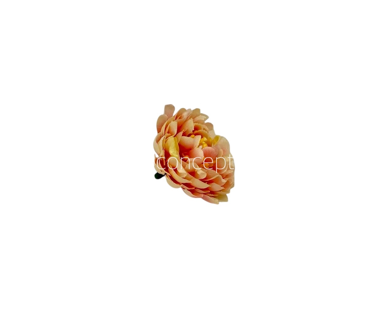 Peach with Lemon Small Dahlias