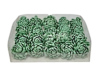Seafoam Sola Wood Lillian