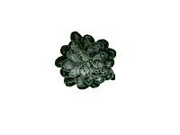 Faux Succulent - Dark Green
