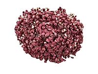 Baby Breath's Bunch