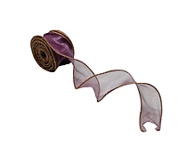 Sheer Ribbon with Gold Wired Edges