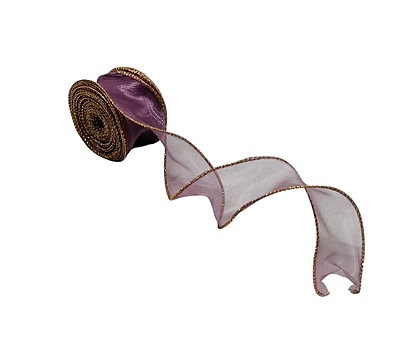 Sheer Ribbon with Gold Wired Edges