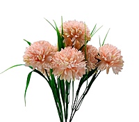 Carnation Bunch - Mullticolour