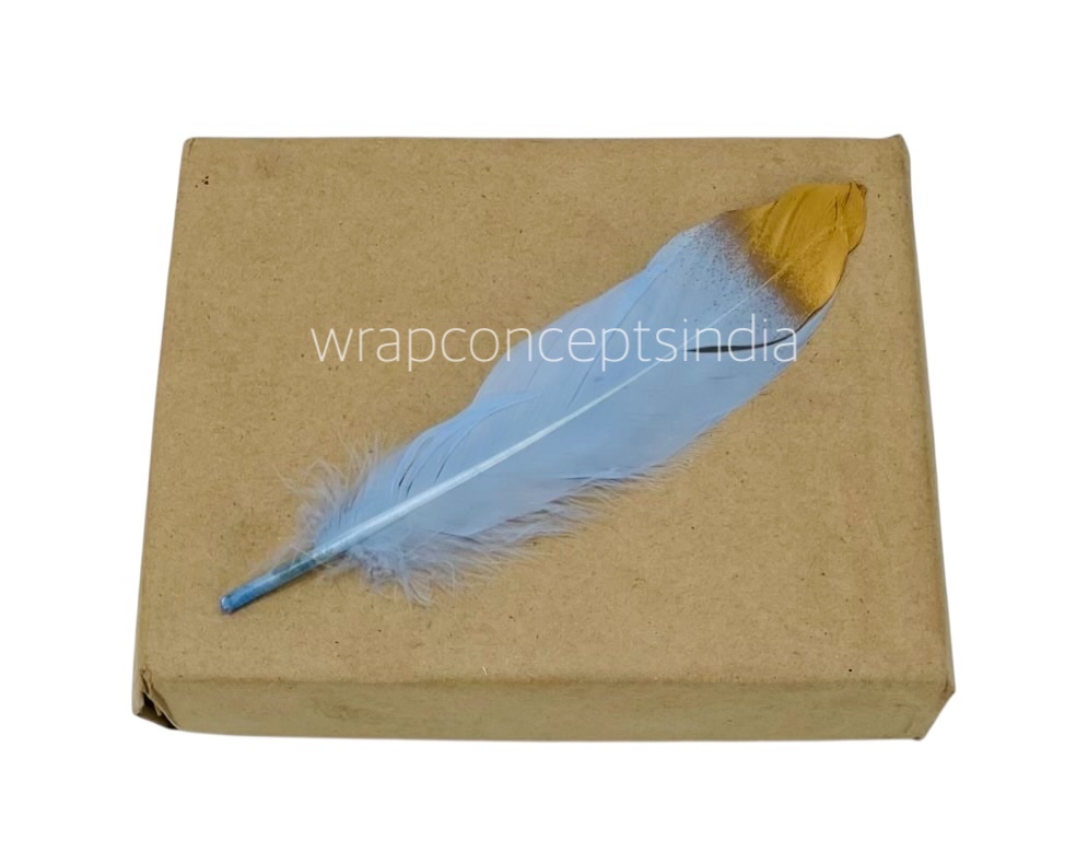 Faux Feather with Gold Edges