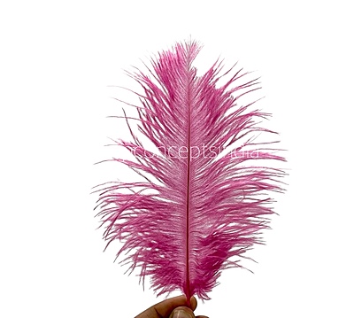 Faux Feather Rounded Edges