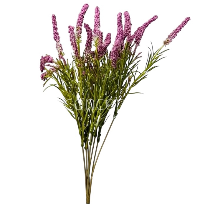 Leaves Bunch with Frosted Conifers