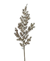 Christmas Tree Fern Sticks with Pearls