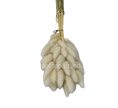 Preserved Bunny Tails