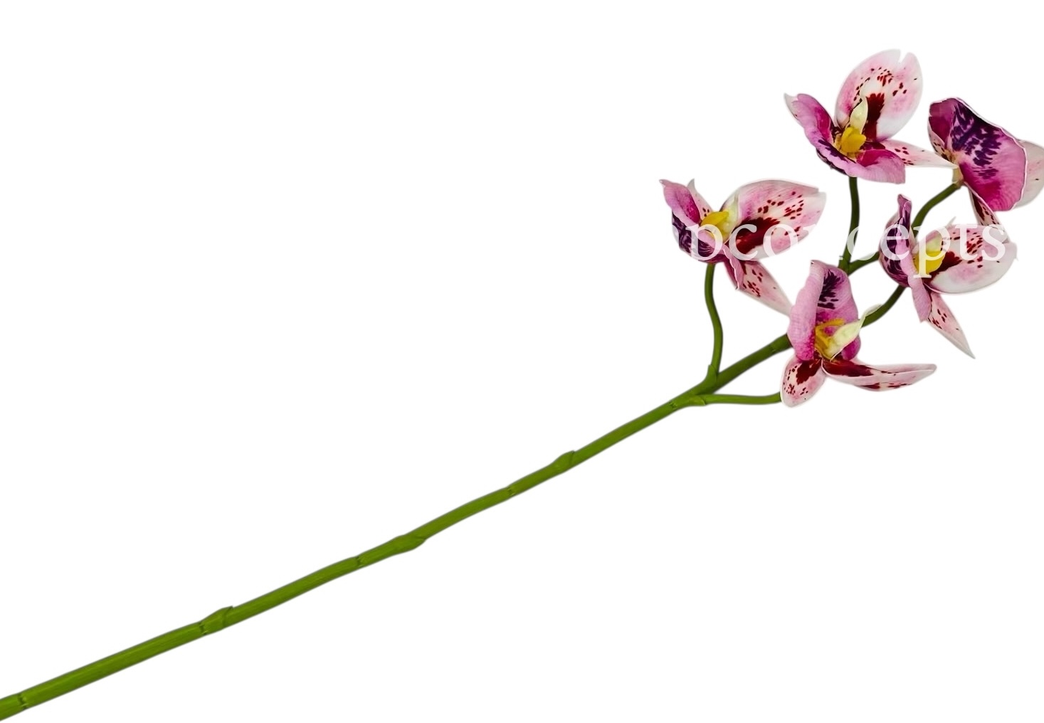 Orchid Sticks - Multicolor