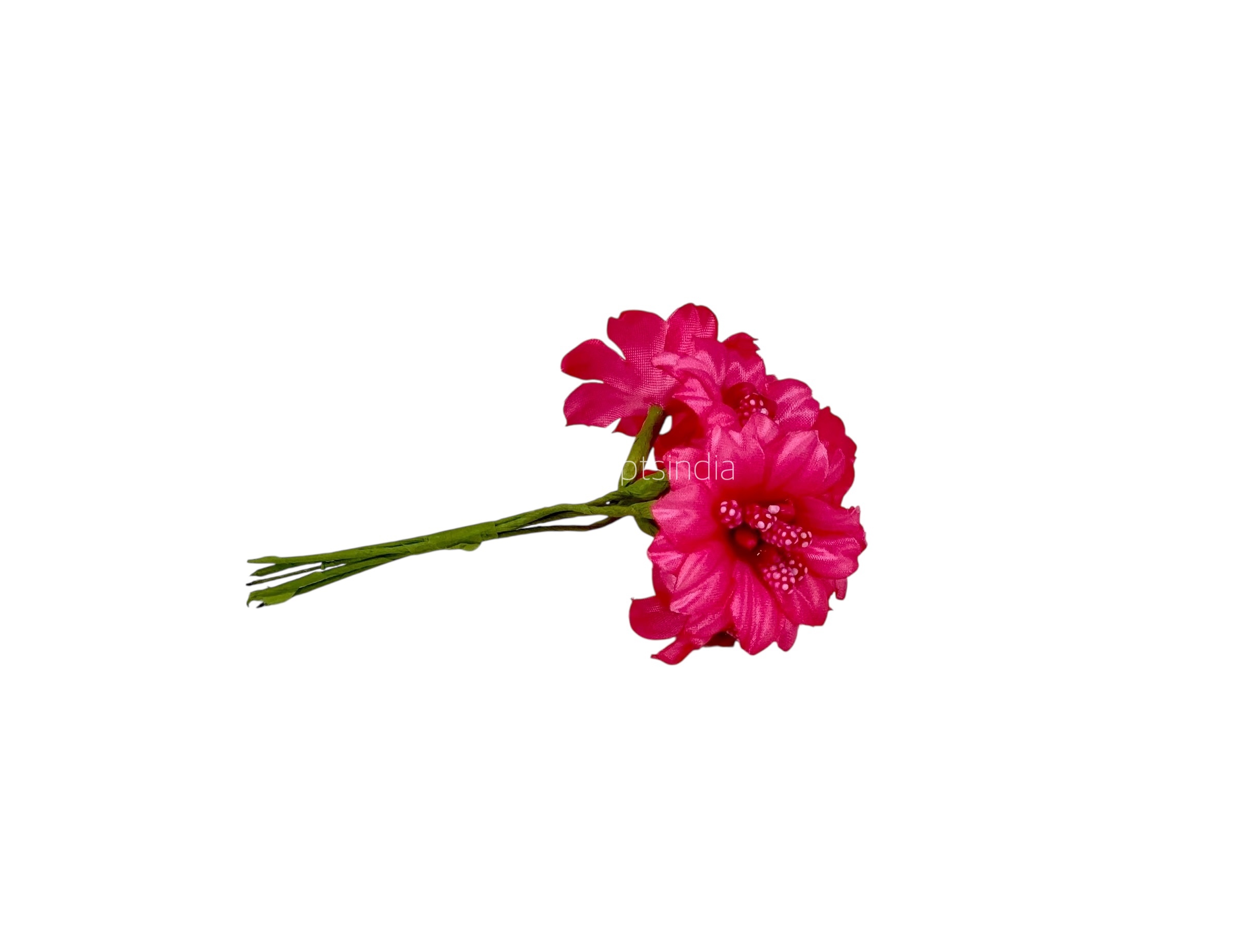 Fuchsia Flowers with Fuchsia Pollens