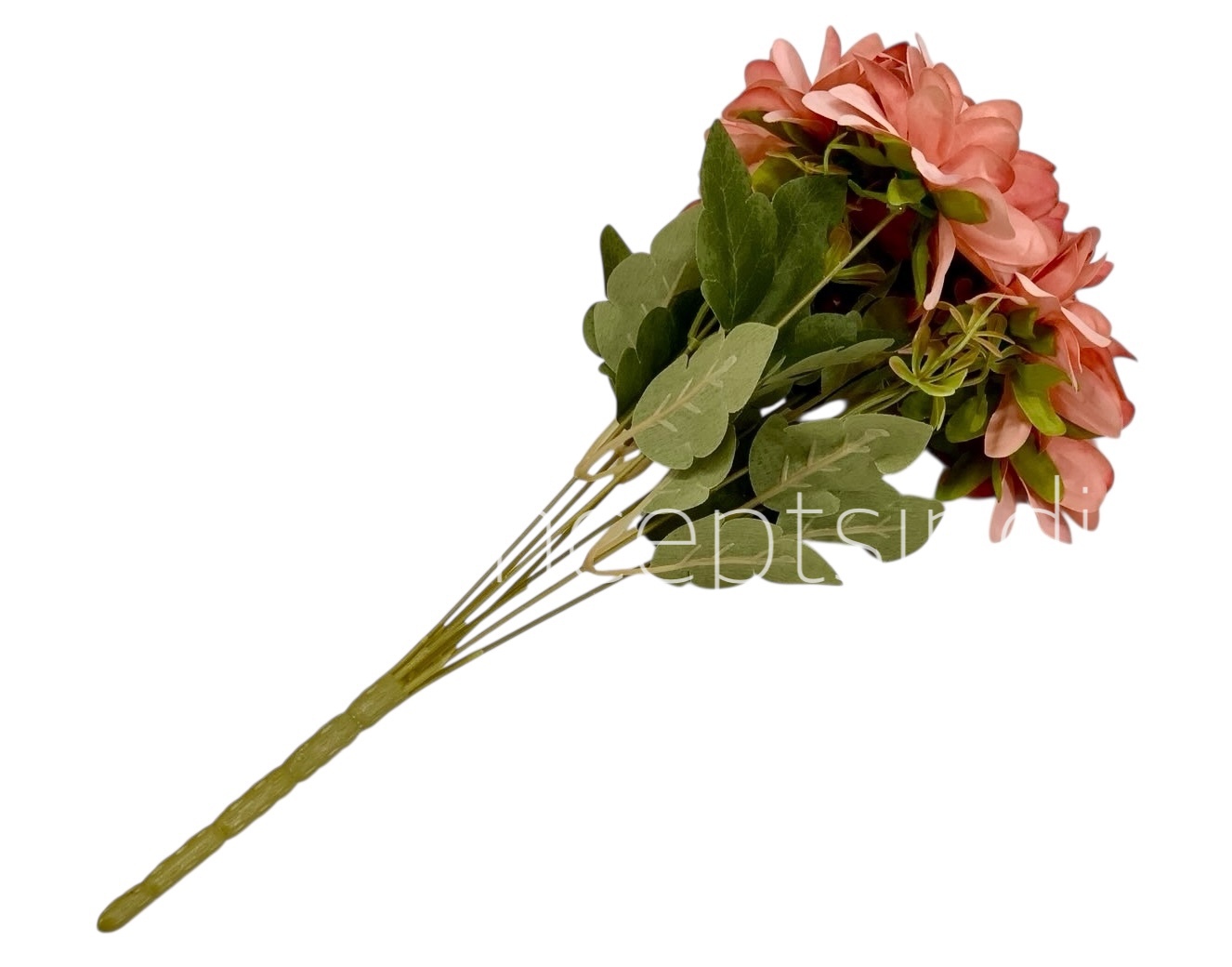 Dahlia Bunch with Leaves Dahlia Bunch with Leaves