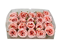 Candlelight Peach Roses